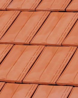 Teja Plana Imperio Terracota
