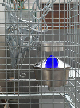 Jos Jacobs - 'Gevangen Blauw'