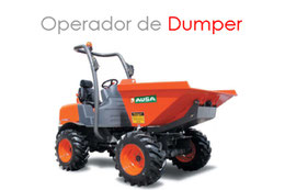 Operador de Dumper