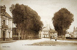 Du côté du fourneau : l'avenue des Tilleuls
