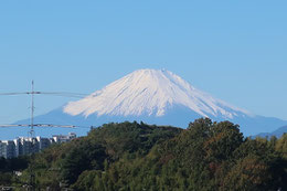 権太坂上からの風景　富士山　2023/11/19