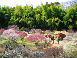 横浜市児童遊園地