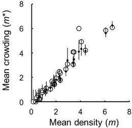 Figure 3.  Relationship between mean crowding (m*) and mean density (m) of Macrodasyceras hirsutum eggs per berry of Ilex integra at the scale of tree.