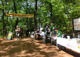 ●スペシャルラリーポイントのキスゲフェスティバル会場です。浅間山公園の小高い場所に設置されました。