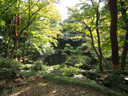 ●殿ヶ谷戸庭園の紅葉亭から見下ろす次郎弁天池。紅葉のころは絶景となります。