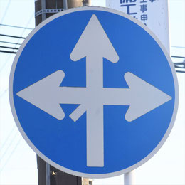 異形矢印標識(指定方向外進行禁止)。神奈川県二宮町にある。