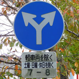 異形矢印標識(指定方向外進行禁止)。静岡県静岡市清水区にある。