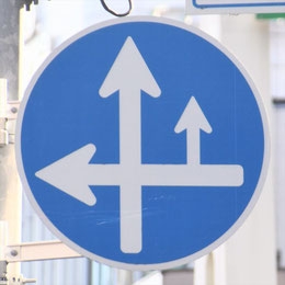異形矢印標識(指定方向外進行禁止)。東京都港区にある。