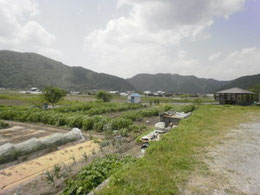 2011年5月15日　梅雨時期前の風景