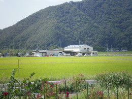 2010年9月18日　：暑い夏が終わりひと段落ついたささ営農付近の風景です