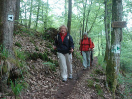 Nordic Walking achter de duinen