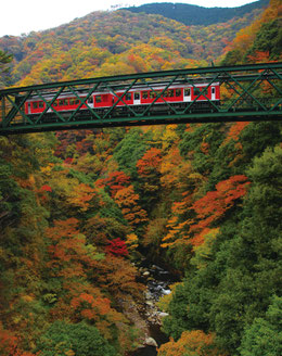画像提供：箱根町