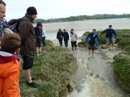 Pensez à réserver votre traversée de la baie de somme, votre sortie découverte des phoques en Baie de Somme avec Découvrons la baie de somme