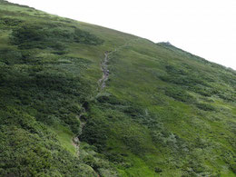 オツボ峰ルート登山道