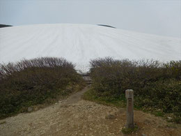 ▲銀玉水の看板前からの一面の雪斜面。まっすぐ登ります。