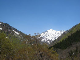 大朝日岳山頂