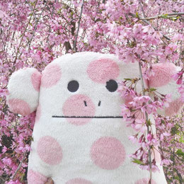 Loris et les Sakura