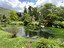 parco verde con ruscello che lo attraversa
