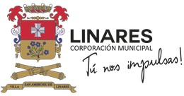 Página web de fotografoenriquematurana