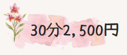 1回30分2000円税別