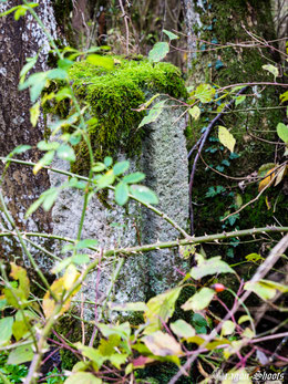 Urban; Urbex; Lost-Place; alt; verlassen; Old; Fotograf; Fotografie; Lenninger Tal; Lenningen; Mühle; Wasserkraft; Gutenberg