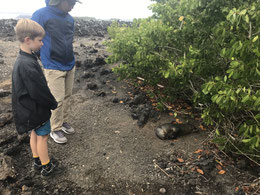 Reisen mit Kindern auf die Galapagos Inseln