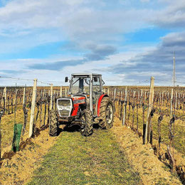 Weinland, Thermenregion, Frühling, Sommer, Weingarten, Handarbeit, Laub, Reben, Bad Vöslau, Traktor
