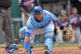 Salvador Perez