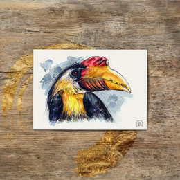 watercolor watercolour painting drawing Sunda wrinkled hornbill Rhabdotorrhinus corrugatus | Aquarell Zeichnung Gemälde Runzelhornvogel Nashornvogel | Sandra Mahn