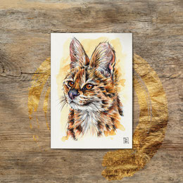 watercolor watercolour painting drawing Leptailurus serval cat | Aquarell Zeichnung Gemälde Serval Katze | Sandra Mahn