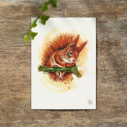 watercolor watercolour painting drawing eurasian red squirrel Sciurus vulgaris | Aquarell Zeichnung Gemälde Eichhörnchen | Sandra Mahn
