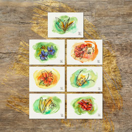watercolor watercolour painting drawing flower flower lily snowdrop freesia bumblebee fritillaria wood violet bee french marigold lily of the valley | Aquarell Zeichnung Gemälde Blume Feuerlilie Schneeglöckchen Freesie Fritillaria Duftveilchen Tagetes Mai