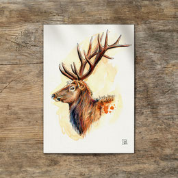 watercolor watercolour painting drawing Wapiti Elk deer bull Cervus canadensis | Aquarell Zeichnung Gemälde Wapiti Hirsch | Sandra Mahn