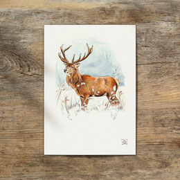 watercolor watercolour painting drawing red deer stag Cervus elaphus | Aquarell Zeichnung Gemälde Rothirsch Hirsch | Sandra Mahn