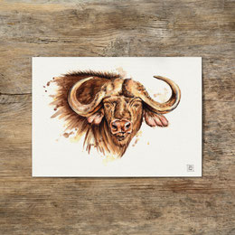 watercolor watercolour painting drawing African buffalo Syncerus caffer | Aquarell Zeichnung Gemälde Kaffernbüffel Büffel | Sandra Mahn