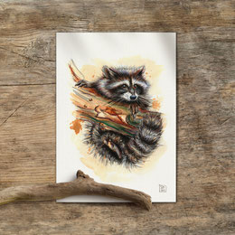 watercolor watercolour painting drawing red raccoon Procyon lotor | Aquarell Zeichnung Gemälde Waschbär | Sandra Mahn