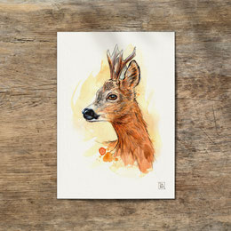 watercolor watercolour painting drawing roe deer roebuck Capreolus capreolus | Aquarell Zeichnung Gemälde Reh Rehbock | Sandra Mahn