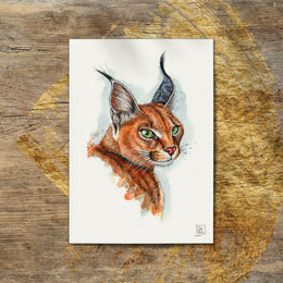 watercolor watercolour painting drawing Caracal caracal cat | Aquarell Zeichnung Gemälde Karakal Katze | Sandra Mahn