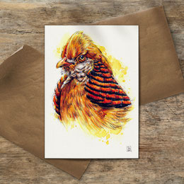 watercolor watercolour painting drawing Chinese golden rainbow pheasant Chrysolophus pictus | Aquarell Zeichnung Gemälde Goldfasan Fasan | Sandra Mahn