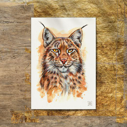 watercolor watercolour painting drawing eurasian lynx lynx cat | Aquarell Zeichnung Gemälde Luchs Katze | Sandra Mahn