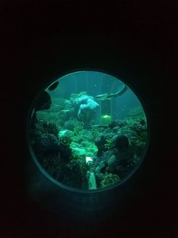 Oman Aquarium, Muscat, Oman