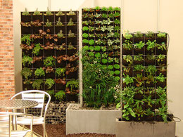 Horticult plantenbakken en -wanden