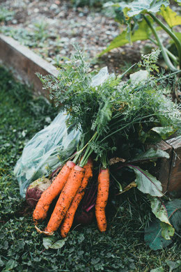 alimentation saine