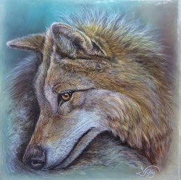 Wolf Artenschutz Tierportrait Illustration