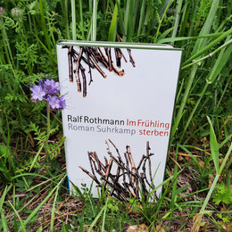 Ralf Rothmann "Im Frühling sterben"