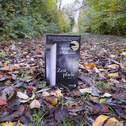 Anne Michaels "Zeitpfade"