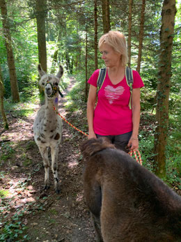 Glücksmomente mit Lamas