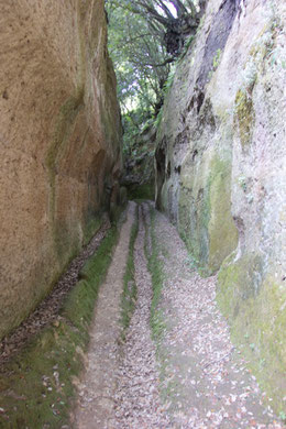 Etruskischer Hohlweg bei Pitigliano