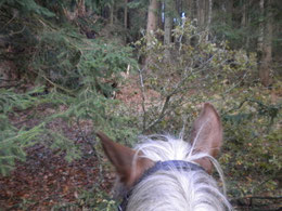 Sturmtief "Christian" hat ganze Arbeit geleistet