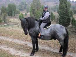 Petra und Willi Nero, Noriker